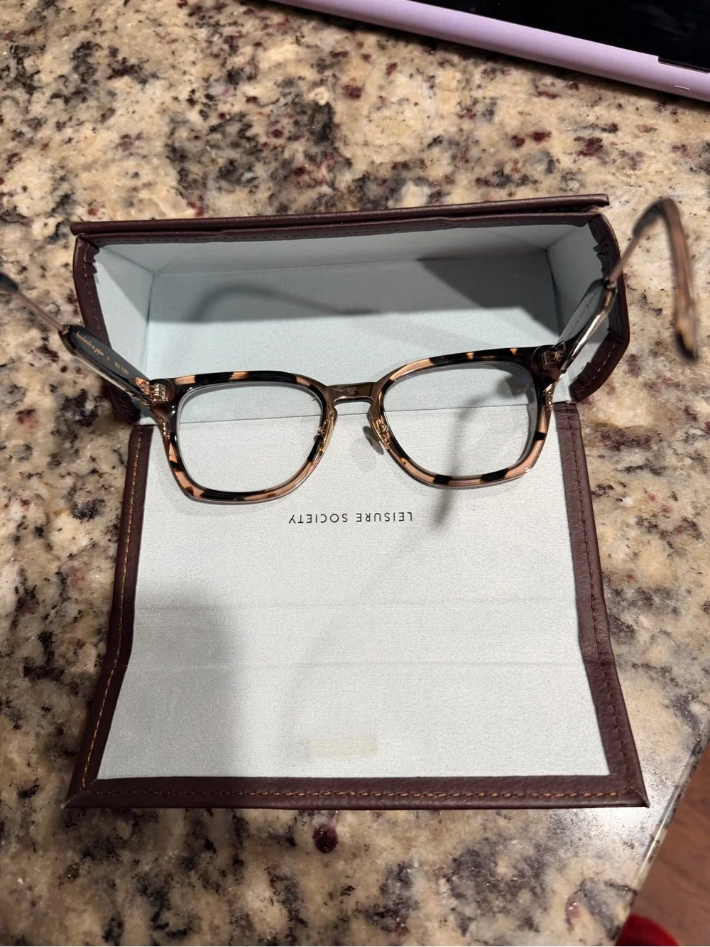 Leisure Society stresa frame